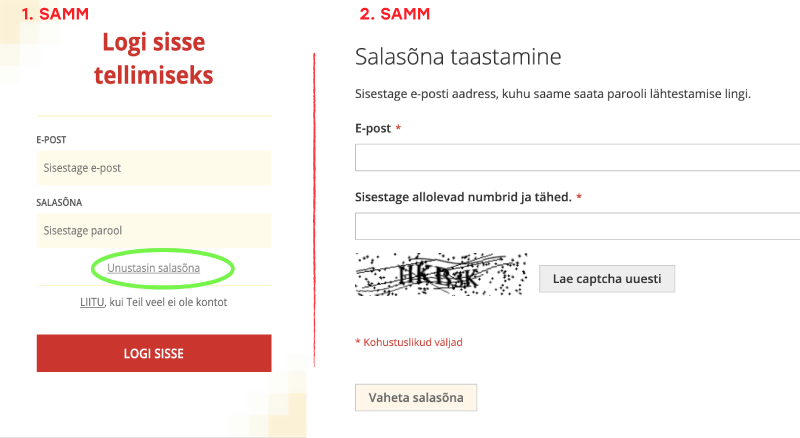 ekraanipilt_unustasin_parooli